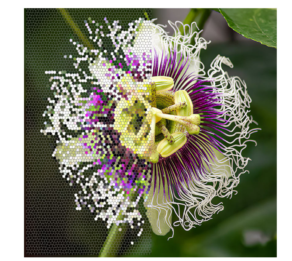 post-produzione ritaglio immagine, ritagliare foto per web, ottimizzazione e preparazione file per il web