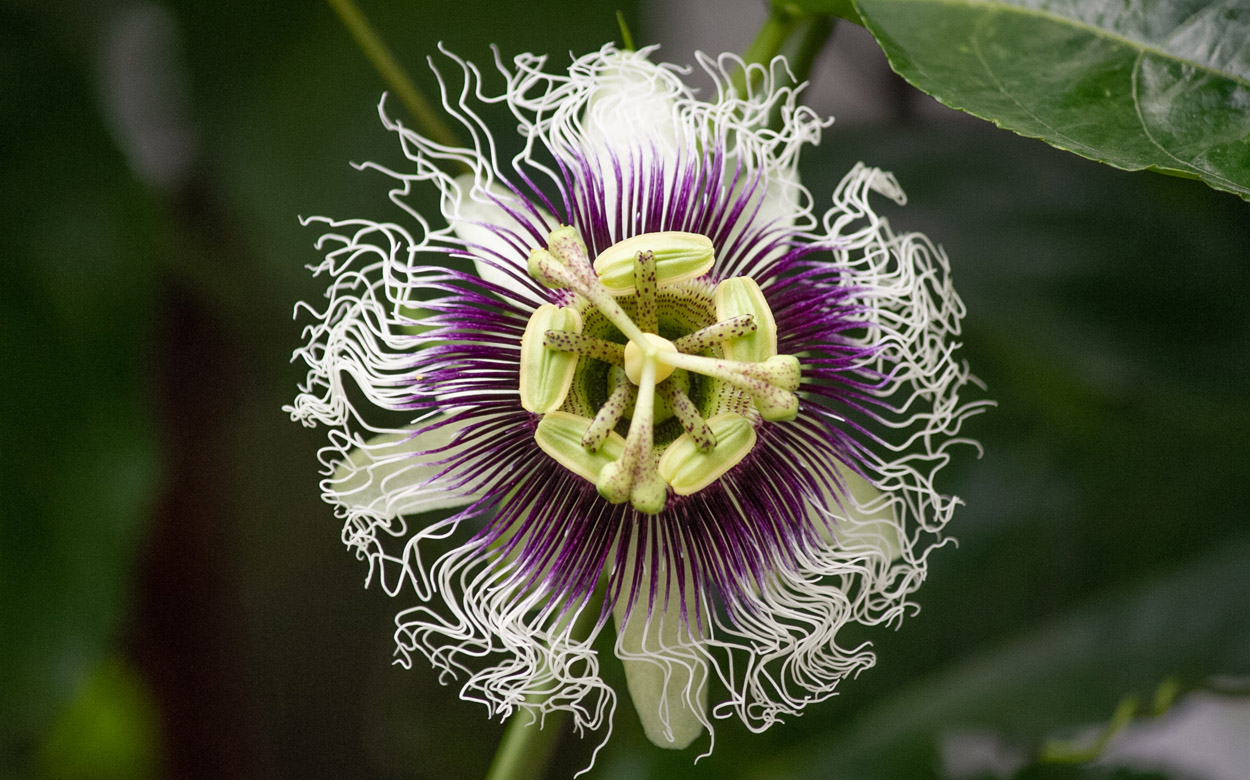 Post-produzione e cromia render, bilanciamento colore render, elaborazione e fotoritocco render