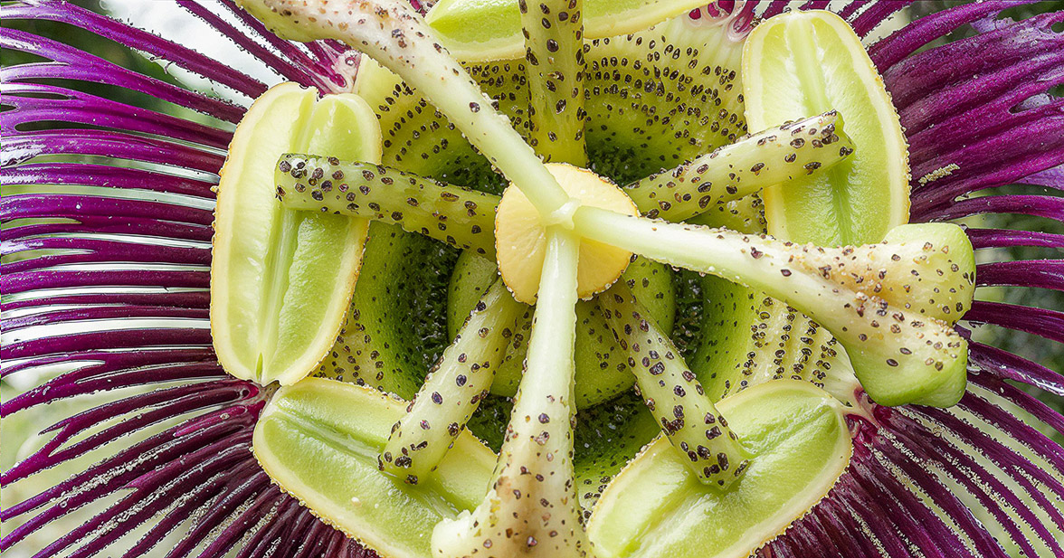 Post-produzione - bilanciamento colore - cromia - risultato fotografico